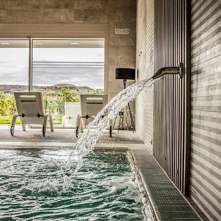 Tudanca Aranda Fuentespina