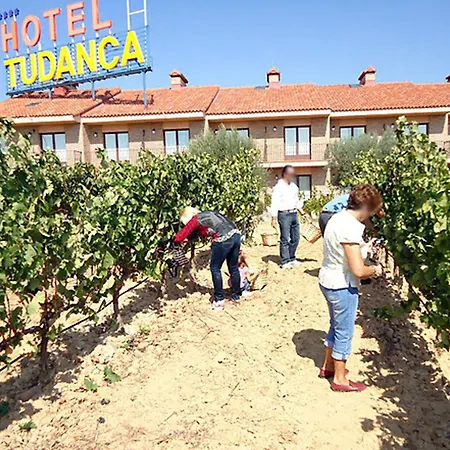 Tudanca Aranda Fuentespina