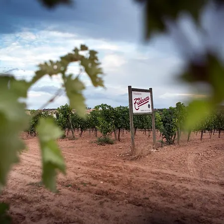 Tudanca Aranda 4* Fuentespina