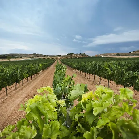 Hotel Tudanca Aranda Fuentespina