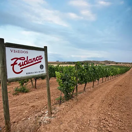 Hotel Tudanca Aranda 4*