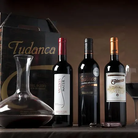 Tudanca Aranda