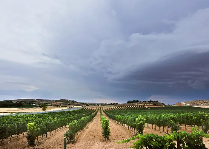 酒店 Tudanca Aranda Fuentespina