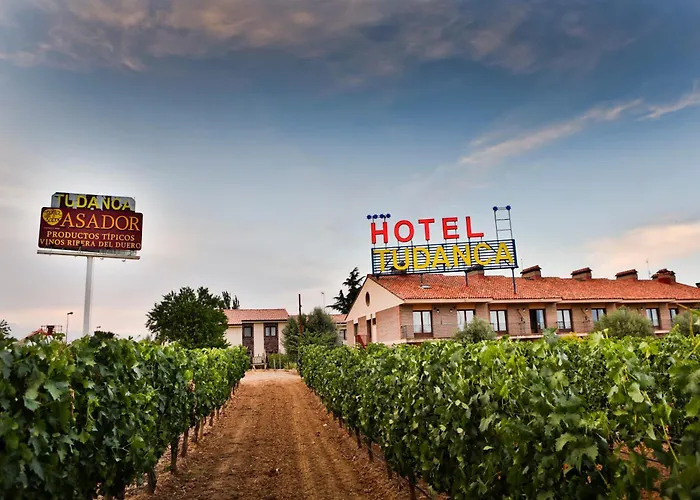 Tudanca Aranda Fuentespina