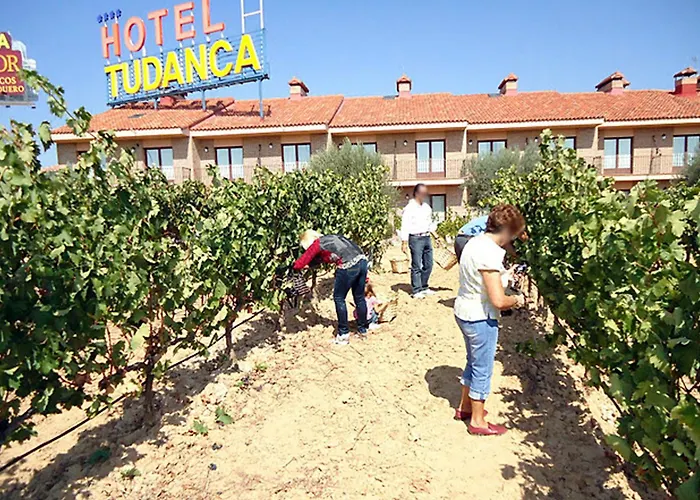 Tudanca Aranda Fuentespina