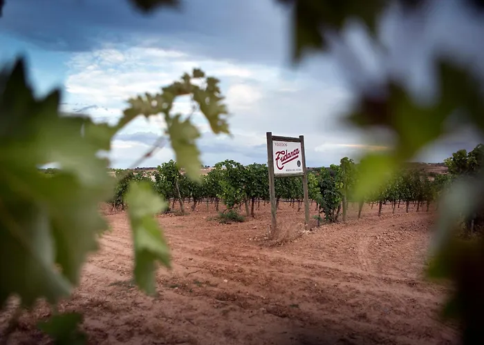 Tudanca Aranda 4* Fuentespina