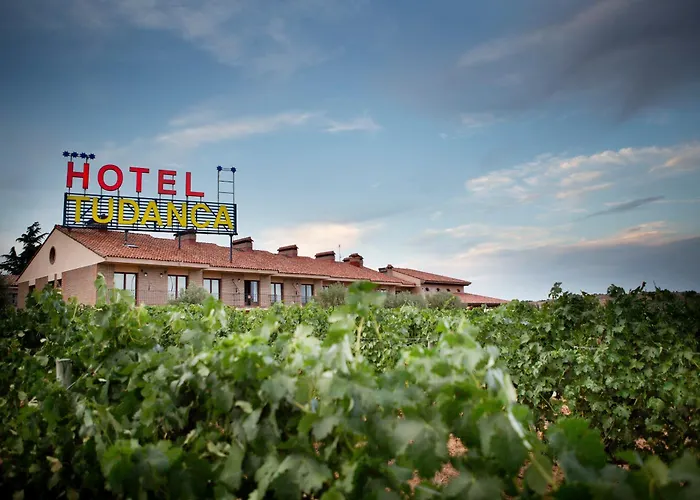 Tudanca Aranda 酒店