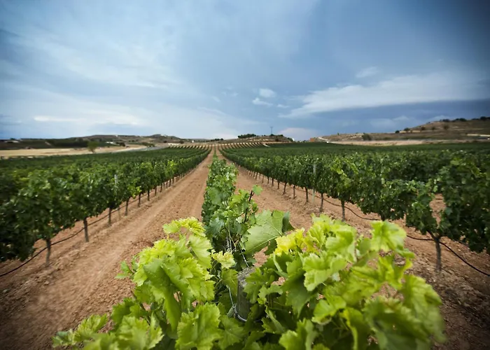 Hotel Tudanca Aranda Fuentespina