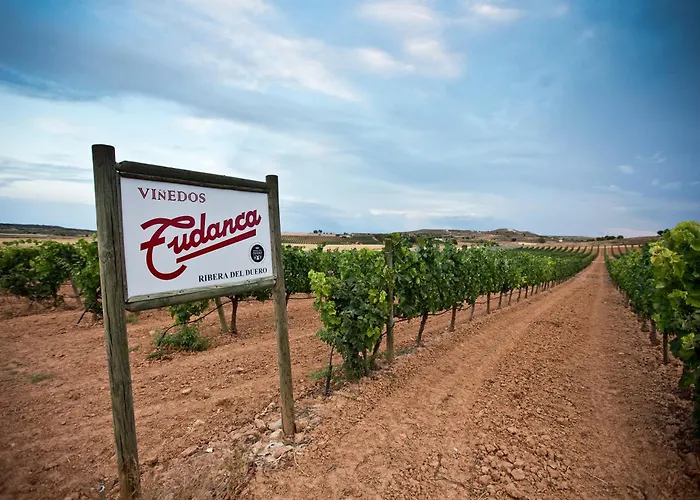 Hotel Tudanca Aranda 4*