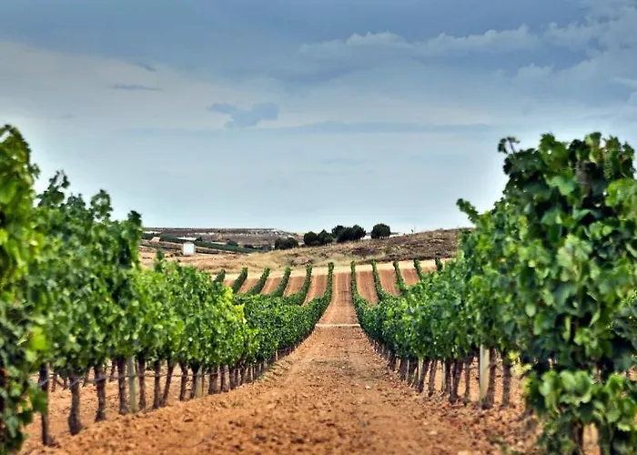 Tudanca Aranda Fuentespina