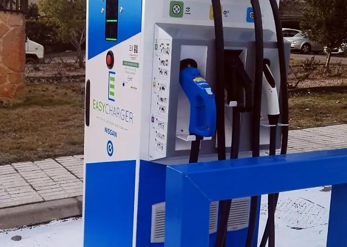 Tudanca Aranda Fuentespina