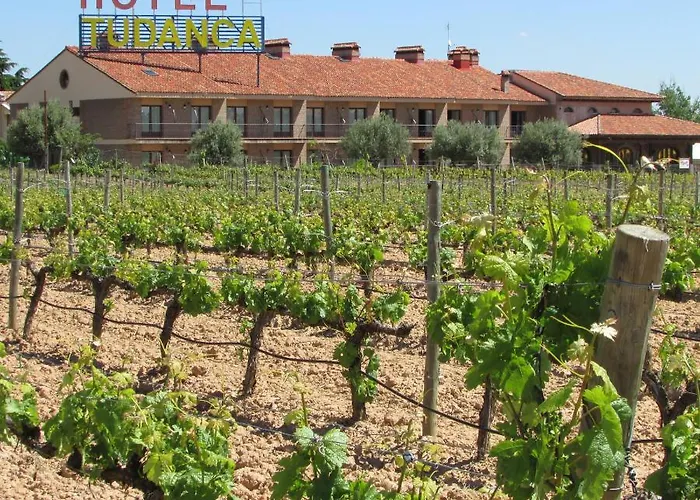 Tudanca Aranda Отель 4*